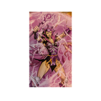 Mattel - Masters of the Universe - 200X Cartoon Collection - Evil-Lyn - Neu/OVP - Actionfigur